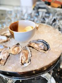 Close-up of oysters on ice in container