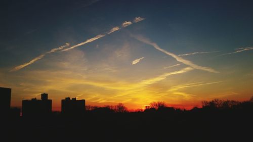 Silhouette trees at sunset