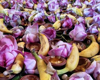 Full frame shot of purple flowering plants