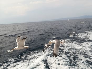 Seagull flying over sea against sky