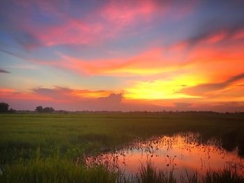 Scenic view of field against sky during sunset