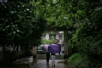 Rear view of people walking towards gate at park during rainy season