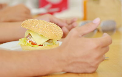 Cropped hand of person holding burger
