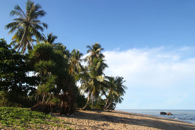 The view on a beach with sea, blue sky and white sand on a sunny day.