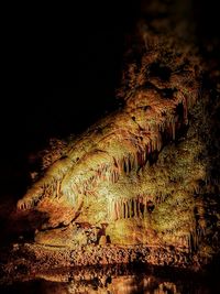 Close-up of illuminated cave