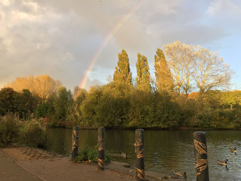 Trees by river against sky during autumn