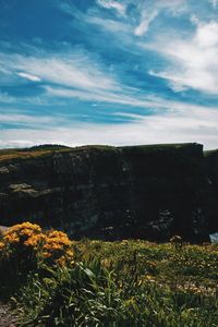 Scenic view of landscape against cloudy sky