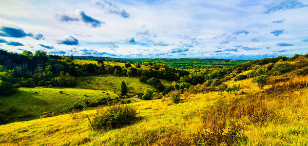 Scenic view of field against sky