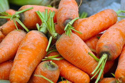 Bio organic carrots in the market. healthy vegetables