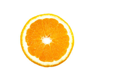 Close-up of orange fruit against white background