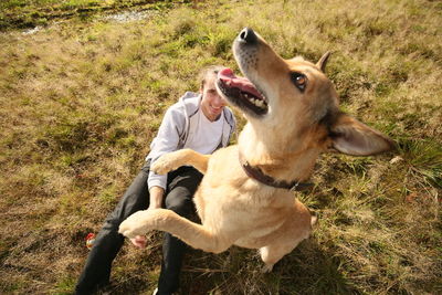 Full length of a dog on field