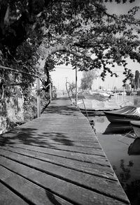 Boardwalk amidst trees against sky