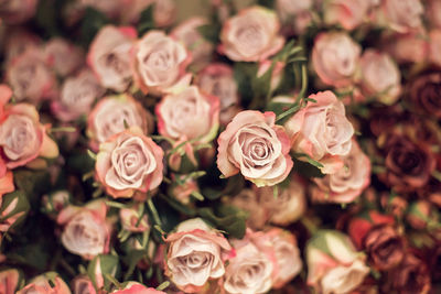 High angle view of rose bouquet