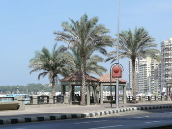 Palm trees by swimming pool in city against clear sky
