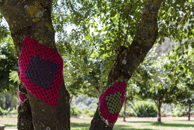 Branch of tree with knitted yarn bomb