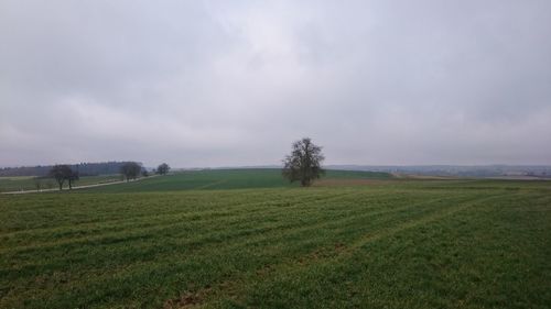 Scenic view of grassy field against cloudy sky