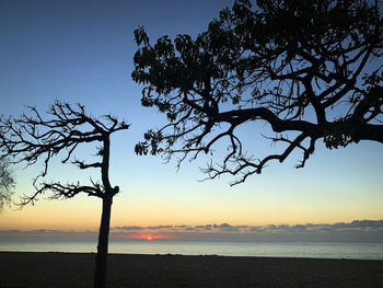 Silhouette tree by sea against sky during sunset