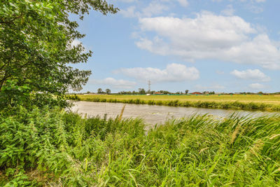 Scenic view of field against sky