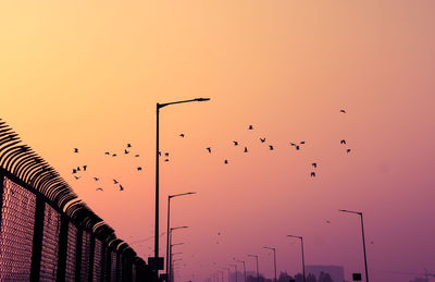 Low angle view of birds flying against sky during sunset