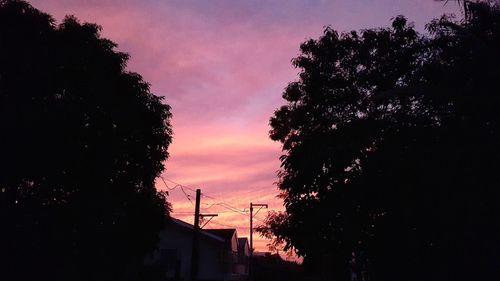 Low angle view of silhouette trees and buildings against sky during sunset