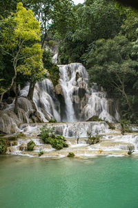 Scenic view of waterfall in forest