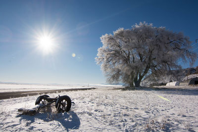 Trees on snow covered landscape against sky