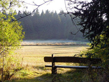 Scenic view of field in foggy weather