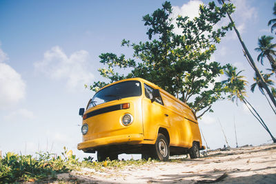 From below yellow van with opened door parked near abundance of exotic tall palm trees on sunny summer day in tropical country