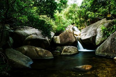 Rocks by river in forest