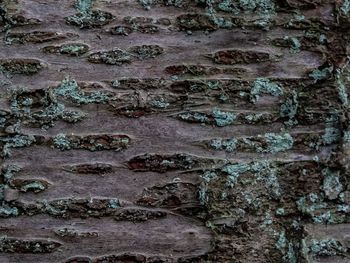 Full frame shot of weathered wall