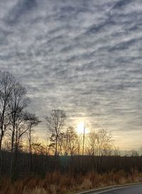 Silhouette bare trees on field against sky during sunset