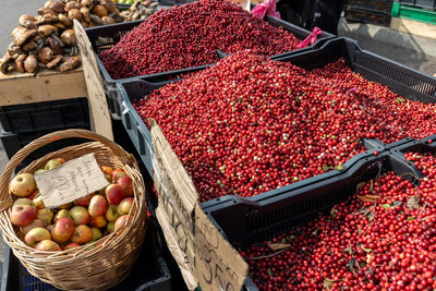 Fresh red ripe lingonberries in plastic boxes on a farmer's market retail display. close-up