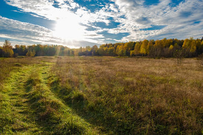 Scenic view of field against sky