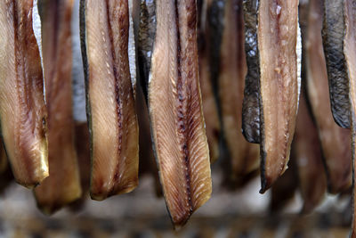 Close-up of drying fishes which are herrings and saury