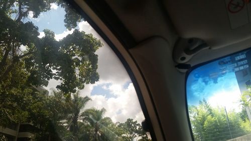Low angle view of trees against sky