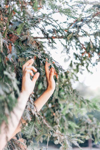 Close-up of woman hand on tree