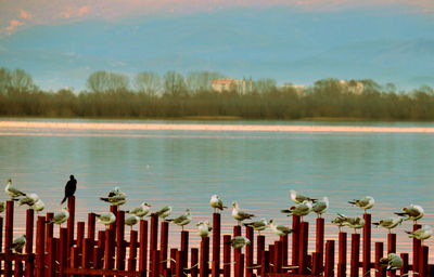 Scenic view of lake against sky