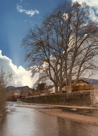 Bare trees by river and buildings against sky