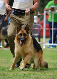 Midsection of man with dog in grass