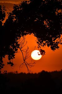 Silhouette tree against orange sky