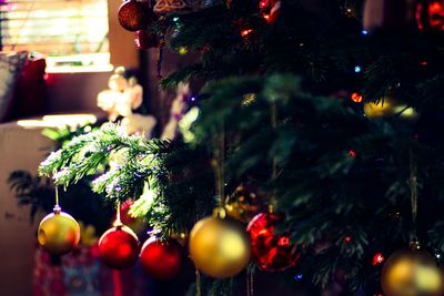 Close-up of christmas tree