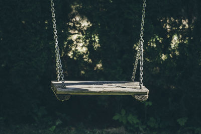 Close-up of empty swing against trees in park