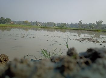 Scenic view of lake against clear sky