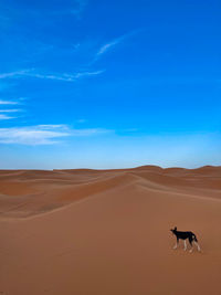 Scenic view of desert against sky