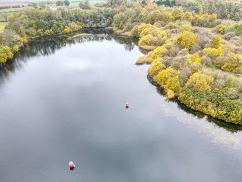 High angle view of river amidst trees