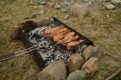 Grilled salmon on a barbecue grill. food on a campfire in nature. high quality photo