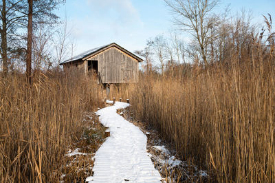 Biodiversity haff reimech, wetland and nature reserve in luxembourg, pond, snow in winter
