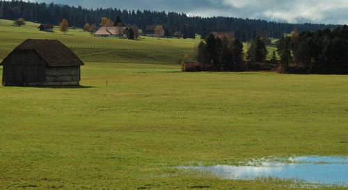 Scenic view of agricultural field against sky