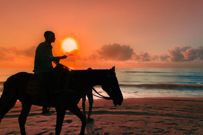 Silhouette man riding horse on beach during sunset