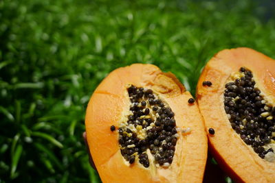 Close-up of orange slice